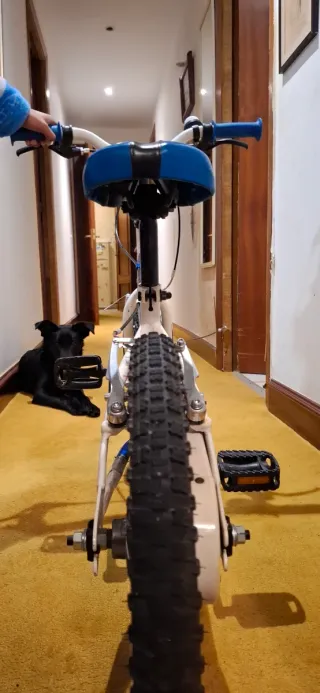 Bicicleta Infantil Azul y Blanca