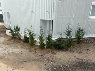 se ofrece jardinero con maquinaria para fincas