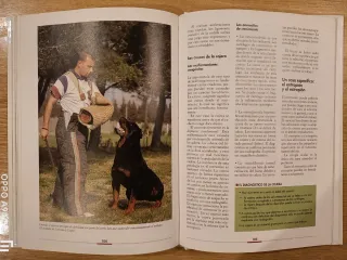Libro Cómo Adiestrar al Rottweiler