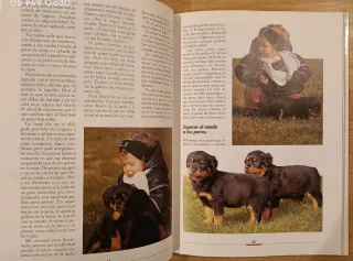 Libro Cómo Adiestrar al Rottweiler