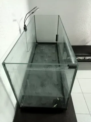 Acuario 250L