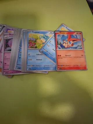 Bulk Fulgor Negro Pokémon