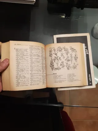 Iter sopena diccionarios