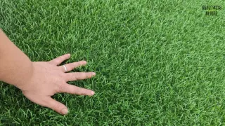 Césped artificial reciclado