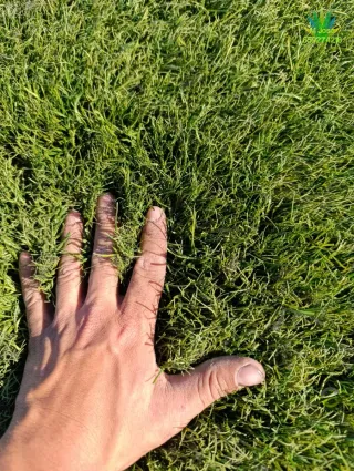 Césped artificial reciclado