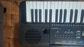 Teclado Yamaha PSR E253