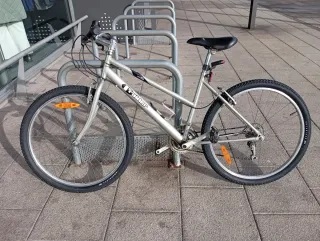 Bicicleta de montaña Raider gris 26''