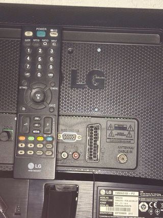 Monitor LG 19MA31D Negro