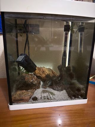 Acuario con rocas y arena