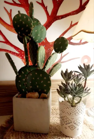 2 Plantas Artificiales Cactus y Suculenta