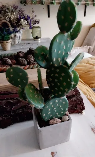 2 Plantas Artificiales Cactus y Suculenta