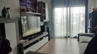 Busco chica para compartir piso...