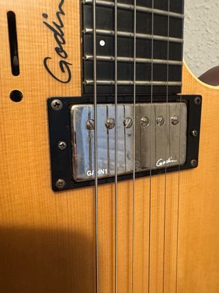 Godin A6 Ultra Natural SG con funda