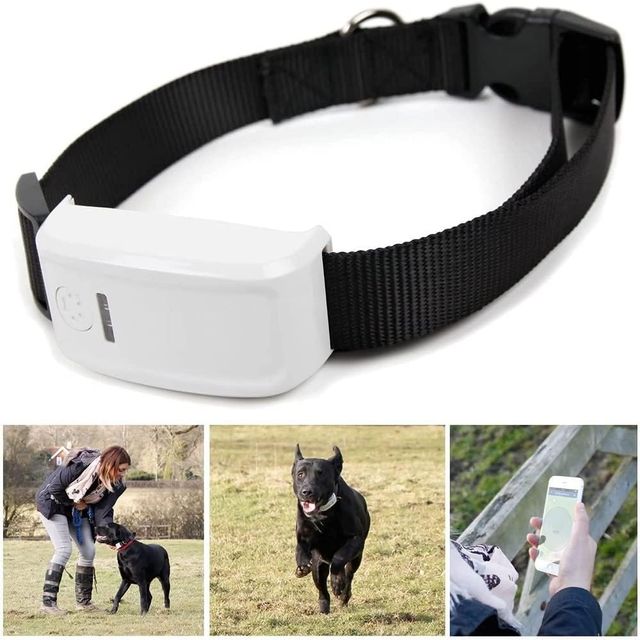 Localizador GPS Mascotas winnes TK909 perro gato