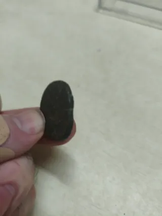 Sestercio Julia Mamea Bronce Antigua Roma