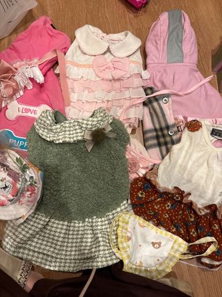 Ropa para perro - Lote por separado o lote