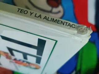 Colección 40 libros de Teo