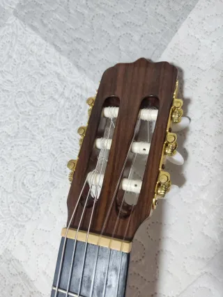 Guitarra Clásica Azahar Palosanto 142