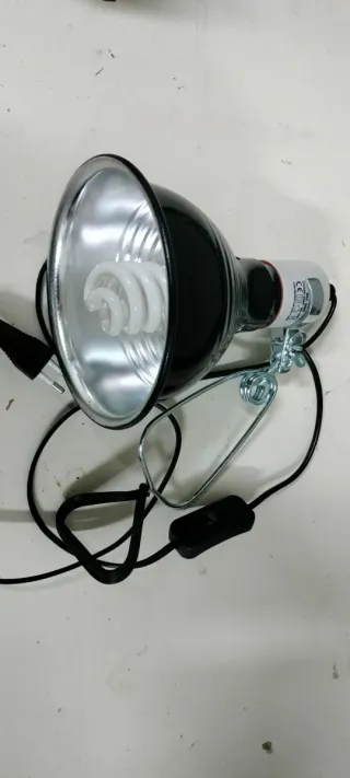 Lámpara portalámparas con pinza