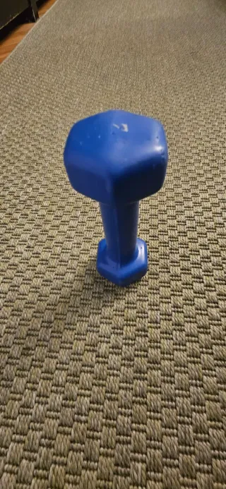 Gimnasio en casa pesas Domyos y accesorios