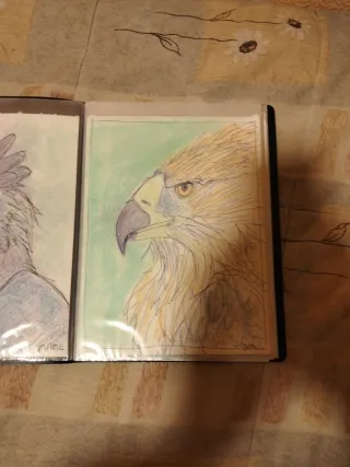 Dibujos originales Woody Woodpecker