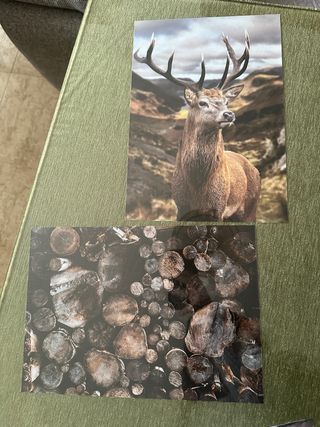 Lienzos decorativos de ciervo y troncos