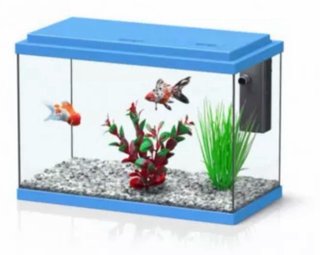 Acuario 20L Negro y Azul
