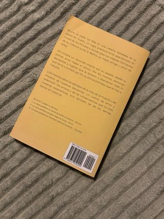 libro: Lo que prefiere la nieve durante el verano