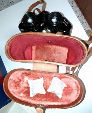 Prismáticos Halina 8x30 antiguos