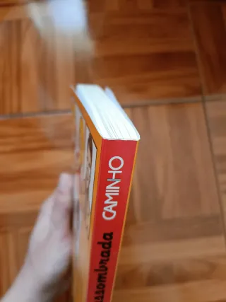 Uma Aventura na Casa Assombrada