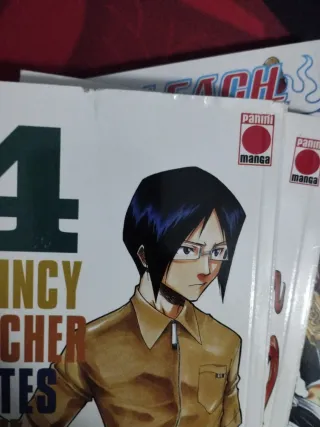 Bleach tomos 1-5