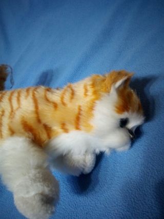 Gato interactivo con movimiento