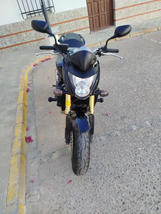 Honda Hornet PC41 600