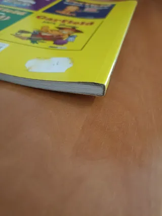 Garfield: 100% genuíno