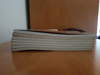 Garfield: 100% genuíno