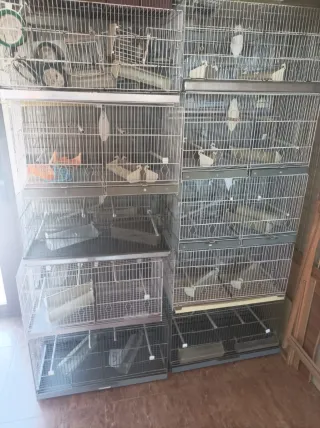 Jaula para pájaros 60cm