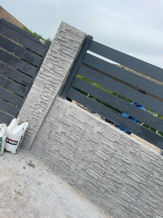 Reforma de Fachada y Muro