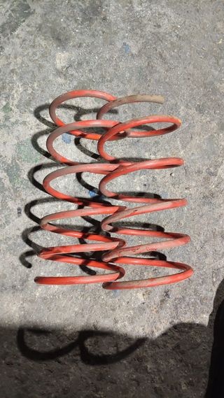 Muelles Eibach Citroën Saxo