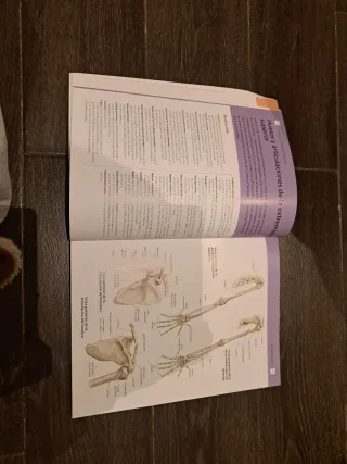 ANATOMIA HUMANA: Método de autoaprendizaje util...