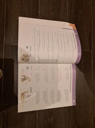 ANATOMIA HUMANA: Método de autoaprendizaje util...