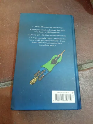 Harry Potter Y La Piedra Filosofal