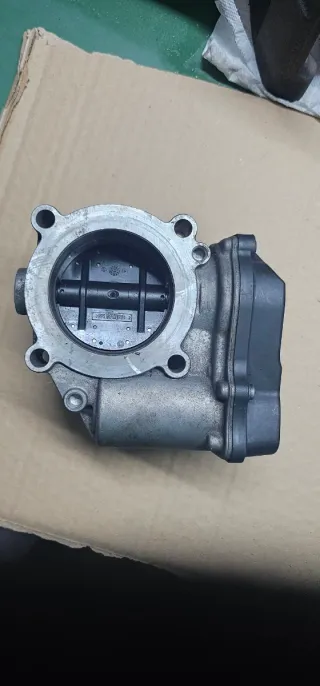 Mariposa Admisión Golf V GTI