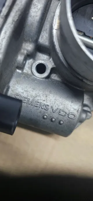 Mariposa Admisión Golf V GTI