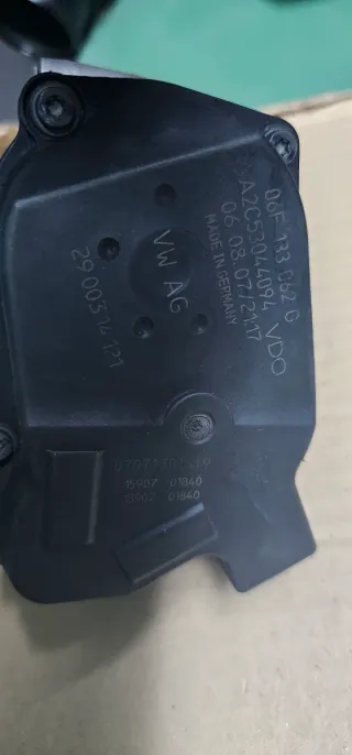 Mariposa Admisión Golf V GTI