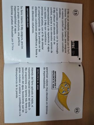 Bota moto Dainese Raptors Shoe Talla 41