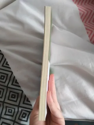 Noa, la joven fantasma (Spanish Edition)