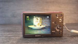 Sony Cyber-shot DSC-W310 Cámara Digital 12.1 Rosa