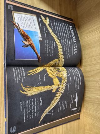 Dinosaurios y otros animales prehistóricos