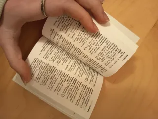 Diccionario español ingles mini