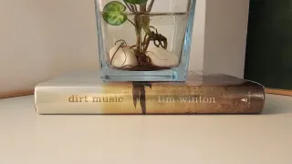 Dirt Music: A Novel